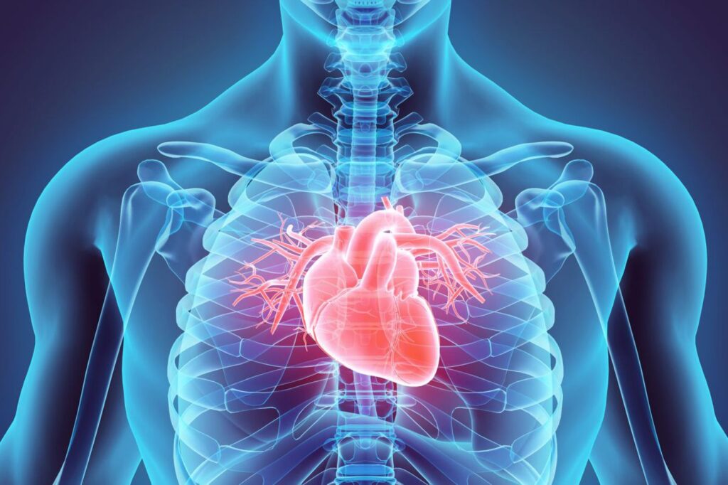 Best Cardiologist in Kanpur, Dr. Anchala Singh
